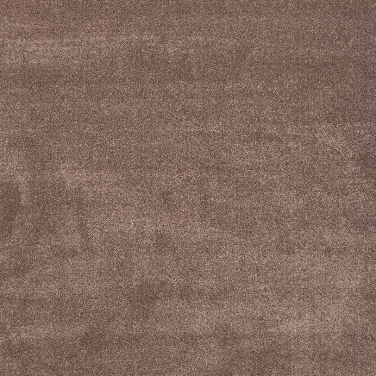 Alfombras Decorativas>Alfombra Ambiente Camel 200x285Cm