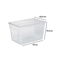 Caja Múltiple><noscript><img width=