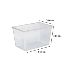 Caja Múltiple><noscript><img width=