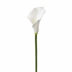 atmosphera Plantas Y Flores Artificiales>Cartucho Blanco Artificial 75Cm
