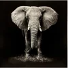 atmosphera Lienzos Y Cuadros Decorativos>Cuadro Decorativo Elefante 100x100Cm