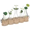 atmosphera Plantas Y Flores Artificiales|Estilo Rústico>Juego De 5 Floreros De Vidrio C/Plantas