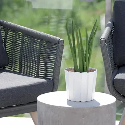 Complementos><noscript><img width=