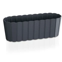 Complementos><noscript><img width=