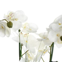 atmosphera Plantas Y Flores Artificiales>Maceta Cerámica Blanca C/Orquídea 53Cm