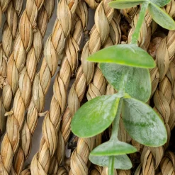 atmosphera Plantas Y Flores Artificiales|Estilo Rústico>Maceta Colgante Con Eucalipto Artificial