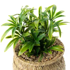 atmosphera Plantas Y Flores Artificiales>Maceta con planta artificial JIL 68cm