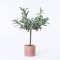 Jarrones Y Vasos|Estilo Rústico>Maceta De Cerámica Rosa De Rayas 14.5cm