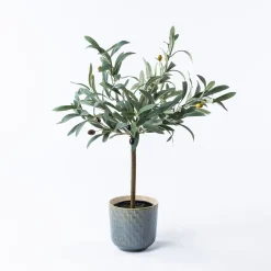 Jarrones Y Vasos|Estilo Étnico>Maceta De Cerámica Texturada 13.5cm