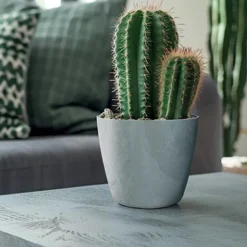 Complementos>Maceta MATE efecto cemento gris 12.7x13.8x13x8cm