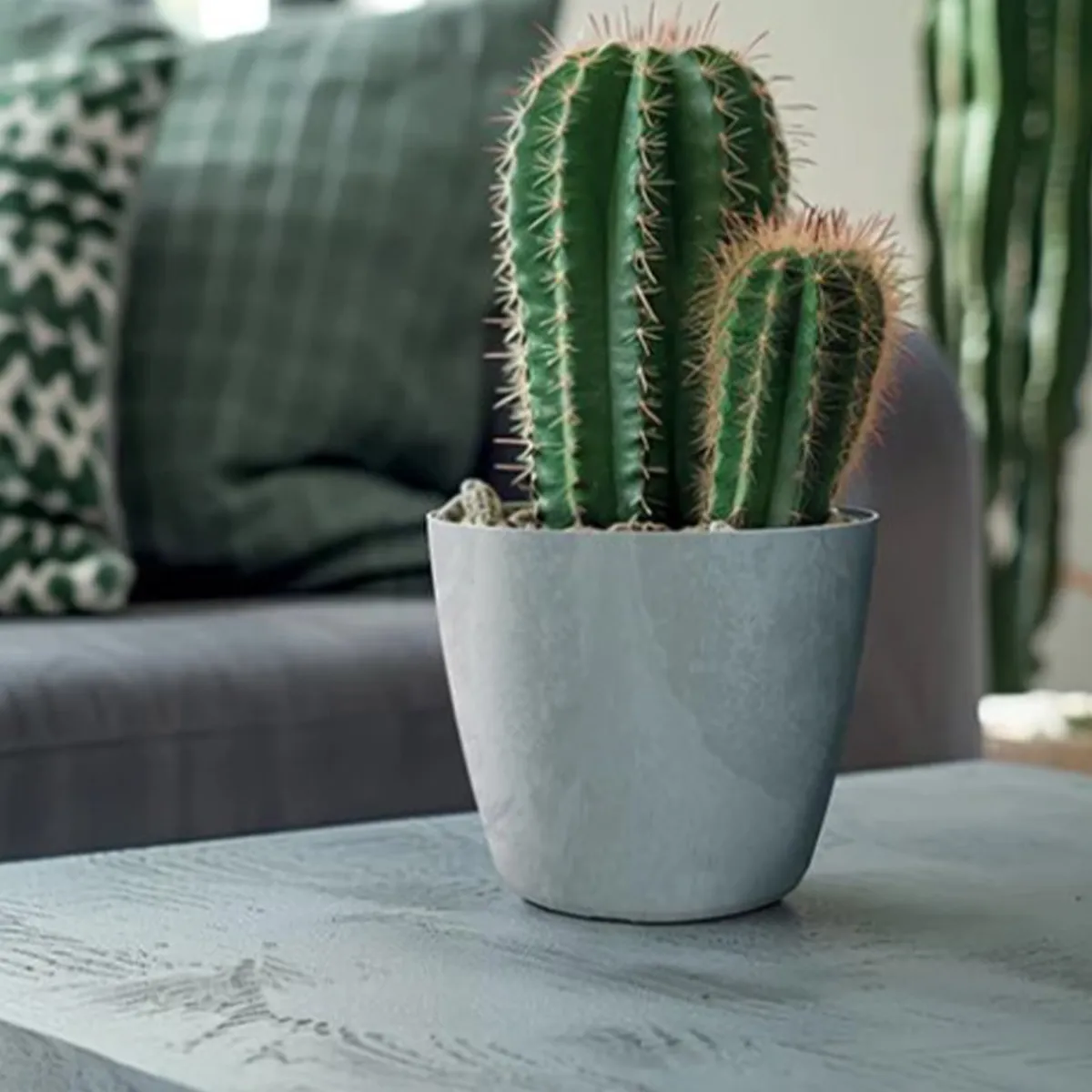 Complementos>Maceta MATE efecto cemento gris 12.7x13.8x13x8cm