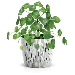 Complementos>Maceta Sandy Round C/Blanco 19x17Cm