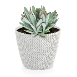 Complementos>Maceta Splofy Eco Wood C/Blanco 22x26Cm