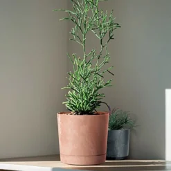 Complementos>Maceta TUBO efecto cemento terracota