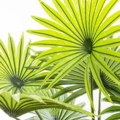 atmosphera Plantas Y Flores Artificiales|Estilo Étnico>Palmera Verde 134x100x100Cm