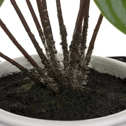 atmosphera Plantas Y Flores Artificiales><noscript><img width=