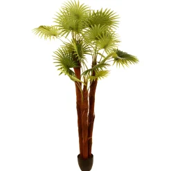 atmosphera Plantas Y Flores Artificiales|Estilo Étnico>Planta Palmera Artificial 180Cm