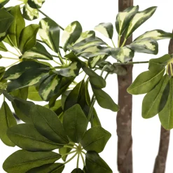atmosphera Plantas Y Flores Artificiales>Planta Schefflera Con Maceta 130Cm
