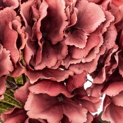 atmosphera Plantas Y Flores Artificiales><noscript><img width=