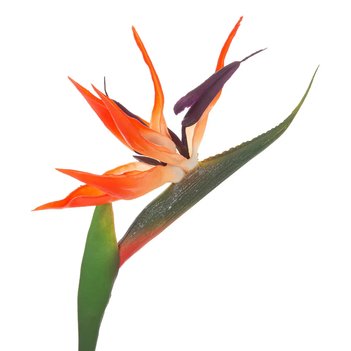 atmosphera Plantas Y Flores Artificiales>Rama De Strelitzia Artificial 83Cm