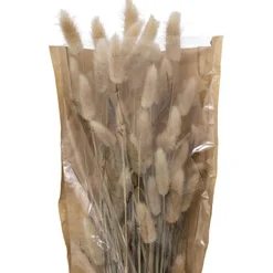 atmosphera Plantas Y Flores Artificiales|Estilo Étnico>Ramo De Flores Secas Ori 18x58Cm