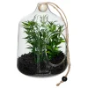 atmosphera Plantas Y Flores Artificiales|Estilo Industrial>Terrario de vidrio con plantas artificiales NALY