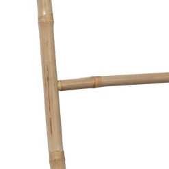 Toalleros><noscript><img width=