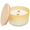 atmosphera Velas>Vela perfumada terre d'ailleurs SANA 420g